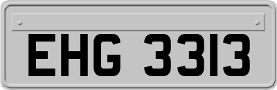 EHG3313