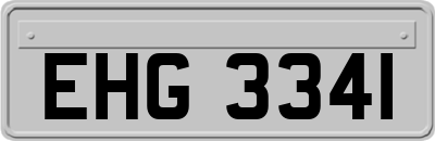 EHG3341