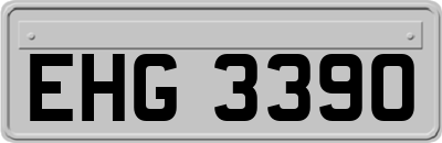 EHG3390