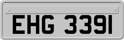 EHG3391
