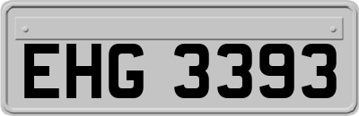 EHG3393