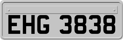EHG3838