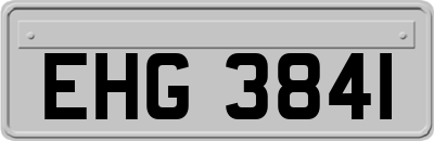 EHG3841
