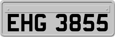EHG3855