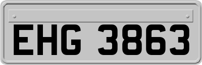 EHG3863