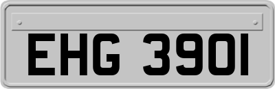 EHG3901