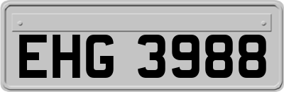 EHG3988