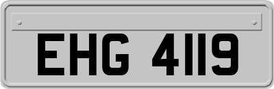 EHG4119