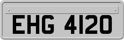 EHG4120