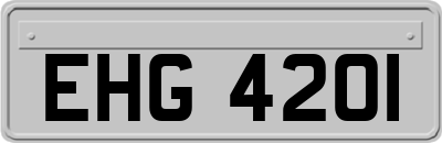 EHG4201