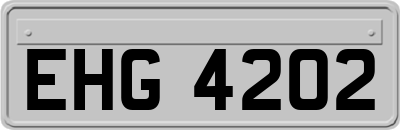 EHG4202