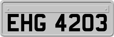 EHG4203
