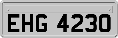 EHG4230