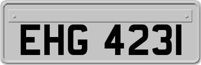 EHG4231