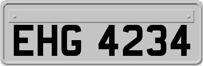 EHG4234