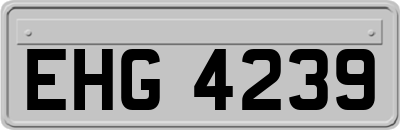 EHG4239