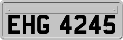 EHG4245