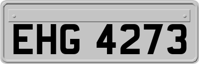 EHG4273