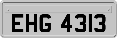 EHG4313