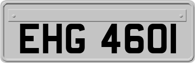 EHG4601