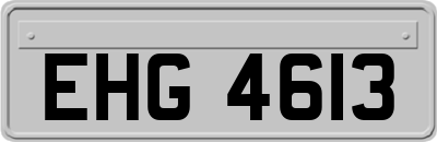 EHG4613