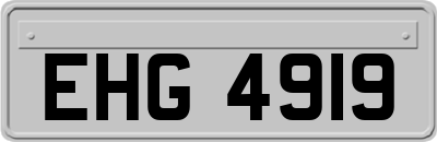 EHG4919