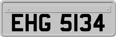 EHG5134