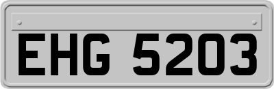 EHG5203