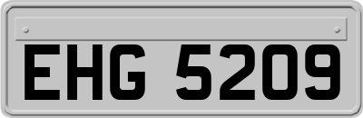 EHG5209