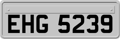 EHG5239