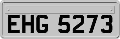 EHG5273