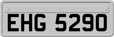 EHG5290