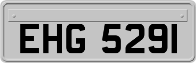 EHG5291