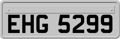 EHG5299