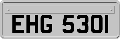 EHG5301