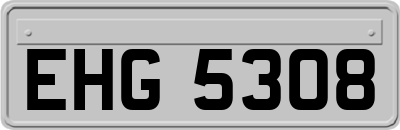 EHG5308