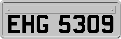 EHG5309
