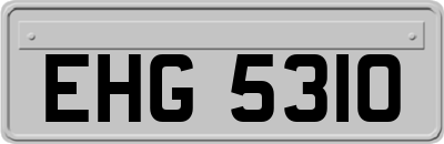 EHG5310