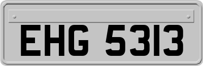 EHG5313