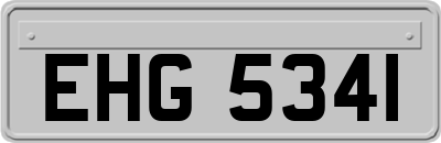 EHG5341