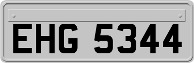 EHG5344
