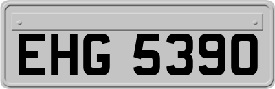 EHG5390
