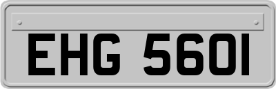 EHG5601