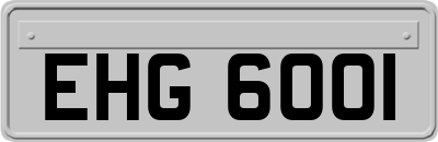 EHG6001