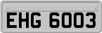 EHG6003