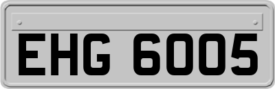 EHG6005