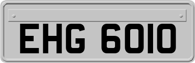 EHG6010