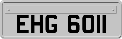 EHG6011