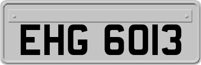 EHG6013
