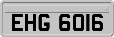 EHG6016